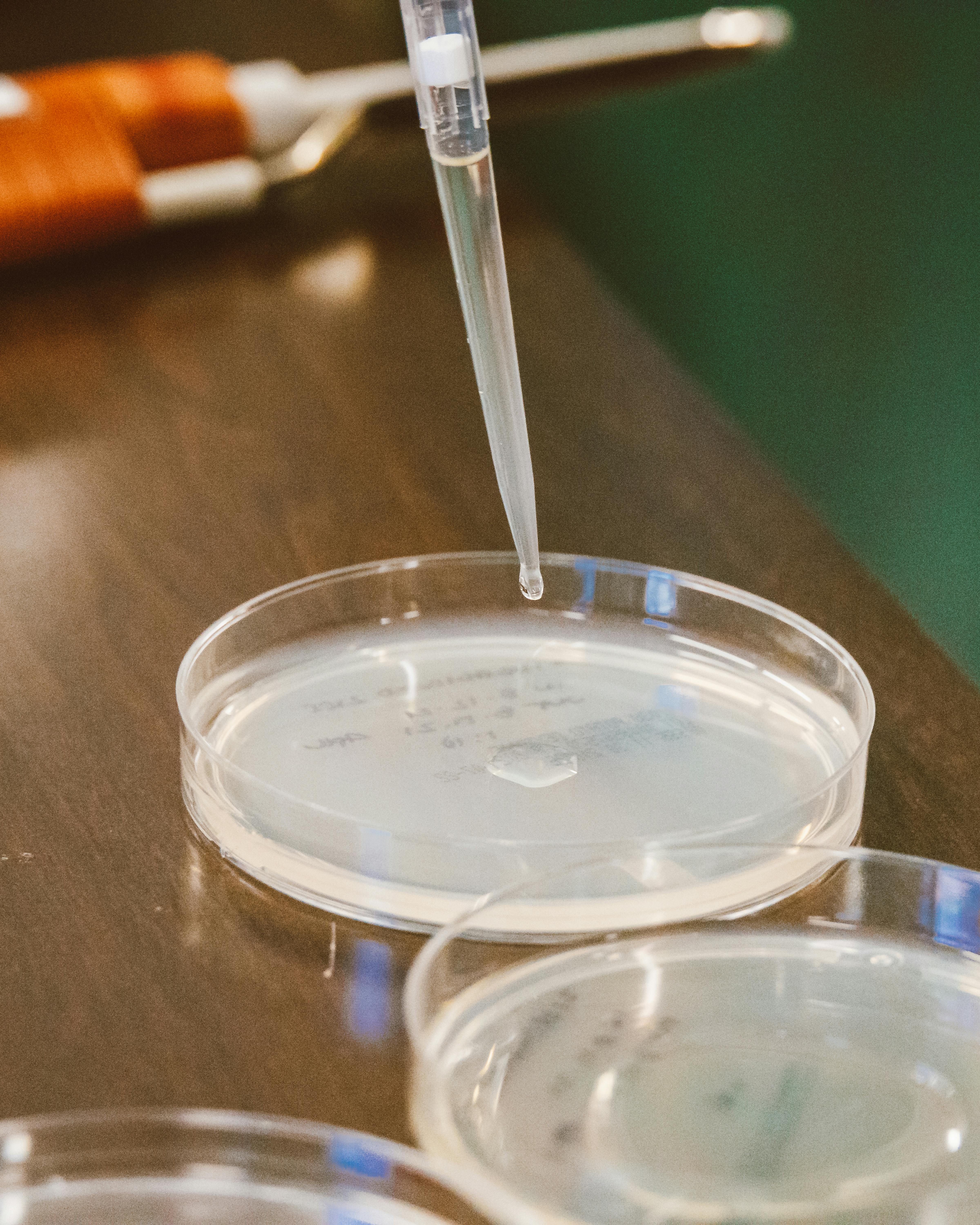 agar